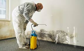 Mold Remediation for Vacation Homes in Bull Valley, IL